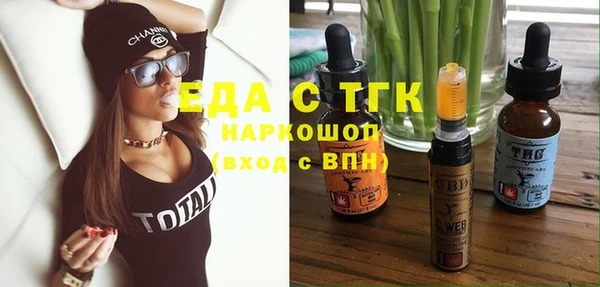 гашик Алексин