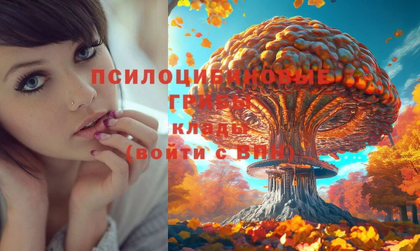 гашик Алексин