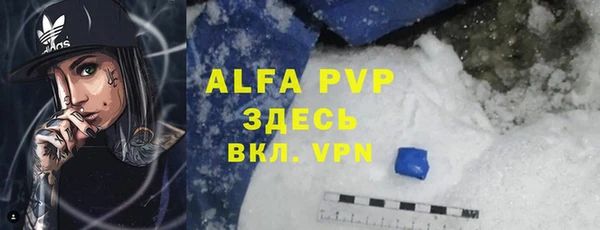 стаф Алзамай