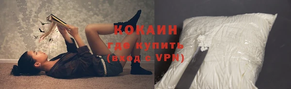 стаф Алзамай