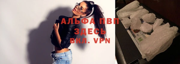 стаф Алзамай