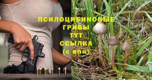 соль курить ск Алексеевка