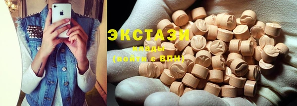 гашик Алексин