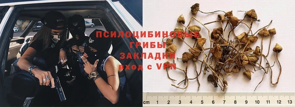 соль курить ск Алексеевка