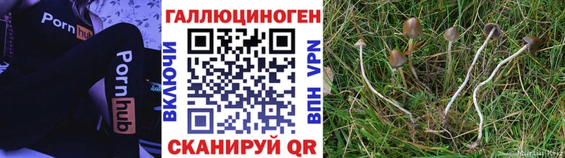 MEGA tor  Артёмовск  Псилоцибиновые грибы Psilocybe 